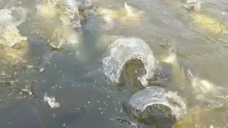 Fishing Time