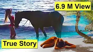 ঘোড়ার সঙ্গে মিলনে মলদ্বার ক্ষতবিক্ষত হয়ে মৃত্যু | Horse |