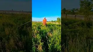 Авылда җәй айлары
