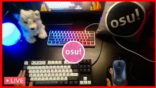 Ah dual stream busuk, sini aja