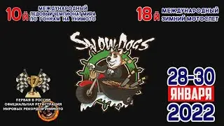 Snow Dogs 2022