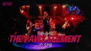 THE PAWS ELEMENT В ПИТЕРЕ! #furry #furryfandom