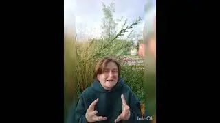 Доброе утро 24 августа! путь прогулка блогера, долговато, нет времени не смотрите, есть?! буду рада