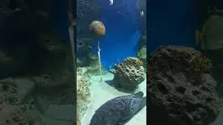 Океанариум! Место для фото!