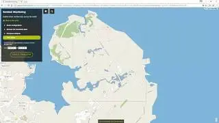 Sentinel Monitoring