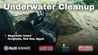🤿 Underwater Cleanup at Megawish Island, Hurghada, Red Sea, Egypt