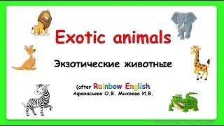 Rainbow English 3 класс. Экзотические животные. Exotic animals at the ZOO
