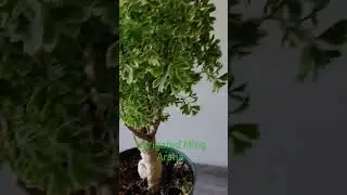 look at it, just look at it!