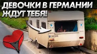 Долгая загрузка во Франции. Ночные бабочки днем в Германии. И другие истории.
