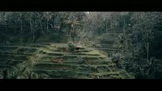 #Bali#Bali#Bali#Bali#Bali#Bali#Bali#Bali#Bali