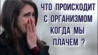ЧТО ПРОИСХОДИТ С ОРГАНИЗМОМ КОГДА МЫ ПЛАЧЕМ