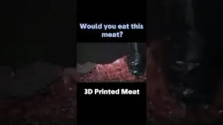 3D Printed Meat / Is it Gross?