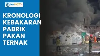 Kronologi Kebakaran Pabrik Pakan Ternak di Bekasi yang Tewaskan 9 Orang, Saksi Dengar Ledakan