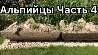 Alpine Plants in Hypertufa Troughs. Part 4. Overview