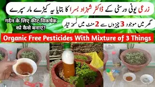 Free Natural Pesticides Spray For Plants At Home | Cheap Pesticides & Fertilizer At Home - Gardening