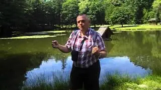 Графский пруд