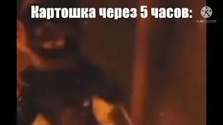 Спрингтруп горит