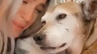 OJALÁ NUESTRAS MASCOTAS FUERAN ETERNAS (CANCIÓN: AHORA QUE TE VAS)