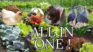 ALL IN ONE ACRE ORGANIC GARDEN ! - ENEO LA EKARI 1 LENYE KILA KITU / FULL  4K VIDEO