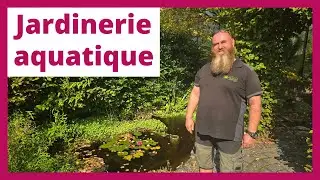 Créer une mare naturelle : Comment favoriser la biodiversité au jardin avec Nicolas d'Aquiflor