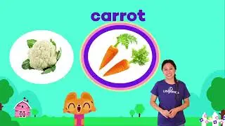 CURIOSITY COACH: VEGGIE POWER 🥕🥕🥕