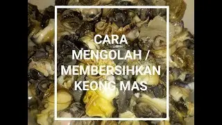 Cara Mengolah / Membersihkan Keong Mas