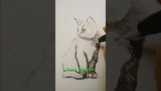 gambar kucing #drawing