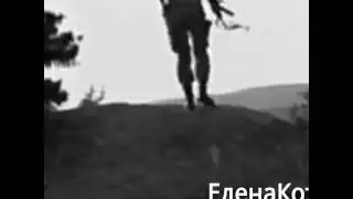 Кот и Мура 