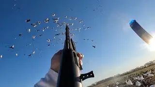 Spins of SNOW GEESE in our Faces!!! Epic Snow Goose Hunt