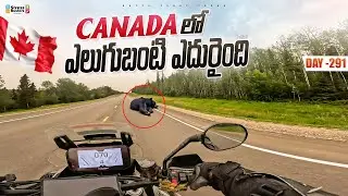 Spotted Canadian 🇨🇦 bear on road | WORLD RIDE DAY 291 | Bayya Sunny Yadav