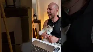 Mizumi est une petite vorace 😅 #chien #chienheureux #husky #chienmignon #dog #chiens #chiot