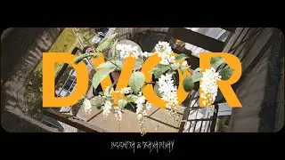 ZAVARIVAY, NEEKITV – DVOR