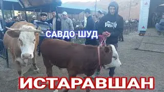 МОЛБОЗОРИ ИСТАРАВШАН ! 31 МАЙ 2024 Г