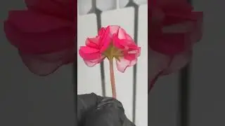 СиМ Вечная Любовь