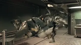 Ecliptic turns into Black Matter