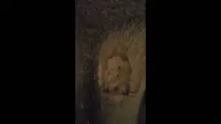 Kaya mezar örneği