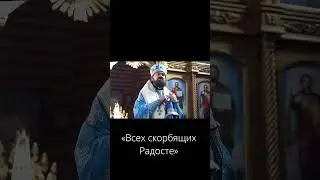 О радости.