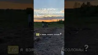 Мульча приплыла😱