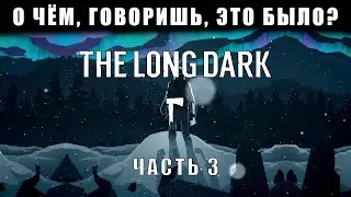 О чём это было? || The long dark 3 часть