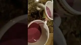 Smoothie  challenge part one