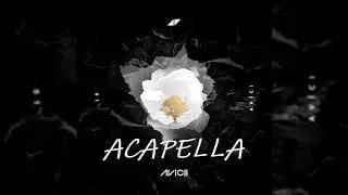 Avicii - Friend Of Mine (Acapella)