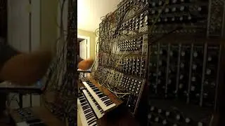 Matt Morton on Moog IIIc Modular Synth