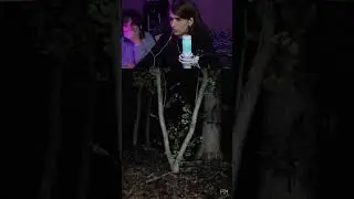 мой twitch: bezdnna 