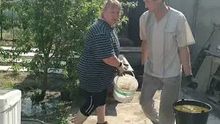 в огороде 17 05 2023