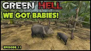 Animal Husbandry Update and a Shopping List | How to Green Hell | Survival Tips PC EP.11