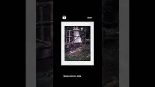 О такой свадьбе  мечтает  каждая  невеста.