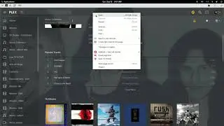 Fixing an artists found twice in a Plex Music library via Fix Match