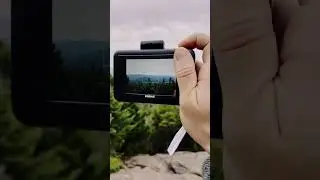 Kodak in the Woods ASMR