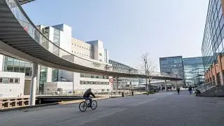 Copenhagen  - The Bicycle Snake Bridge (2019)