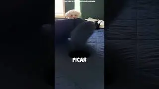 😱🛏️ Um buraco negro na cama? No final, todo o mistério foi revelado! 😂🔥